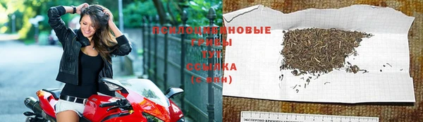 винт Алзамай