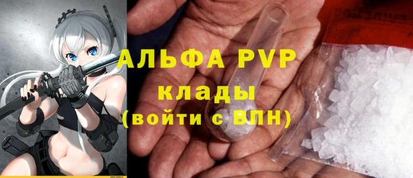 винт Алзамай
