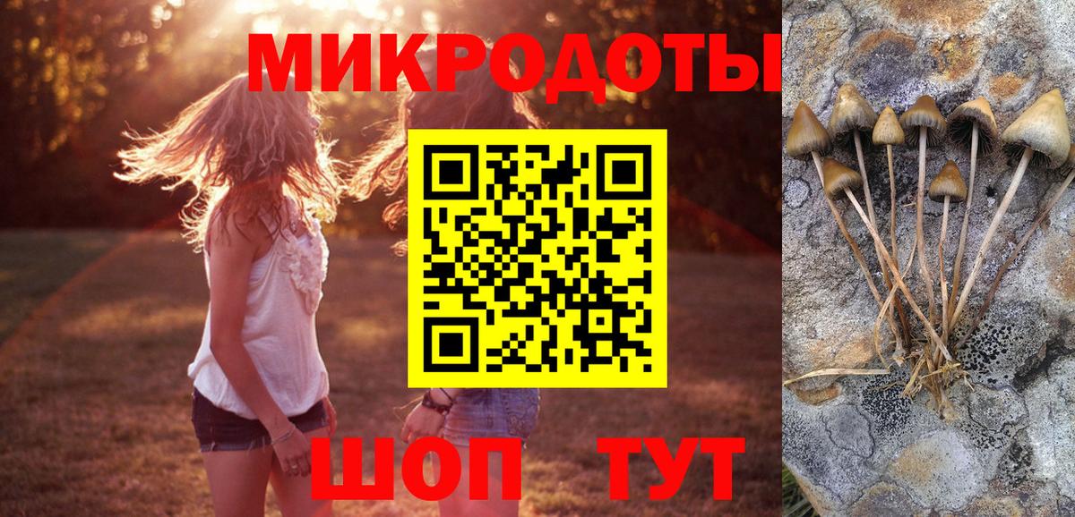 Галлюциногенные грибы мухоморы Череповец